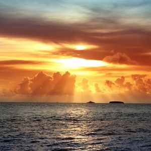 Meet your Posher, Alfreda